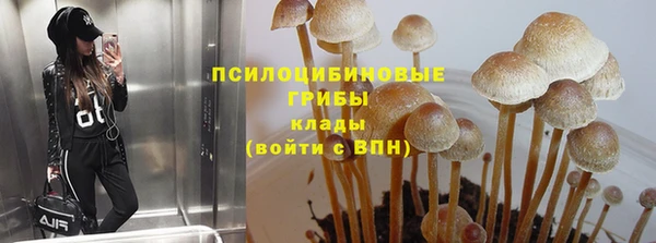 дмт Балахна