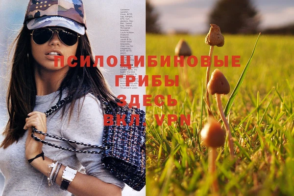 дмт Балахна