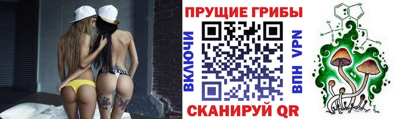 МЕГА сайт Верхнеуральск Галлюциногенные грибы Psilocybine cubensis даркнет сайт